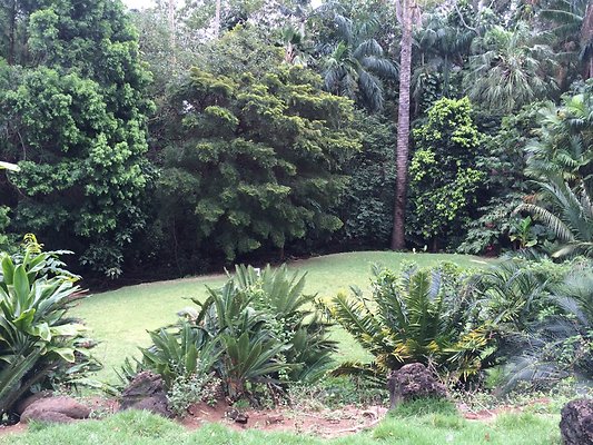 HI50 S5 Ken and Kelly Lee 3.37.51