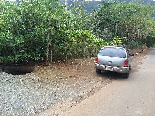 HI50 S5 Ken and Kelly Lee 4.09.26
