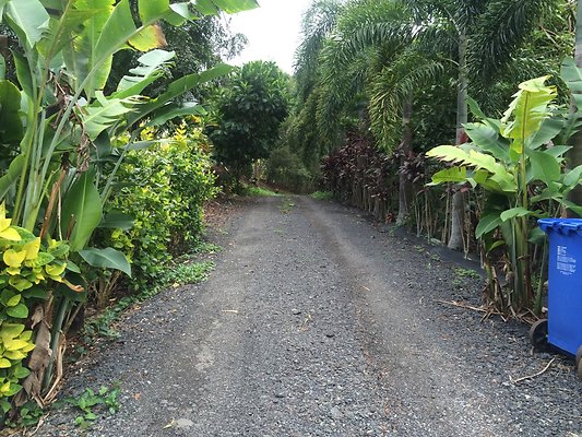 HI50 S5 Ken and Kelly Lee 4.10.46