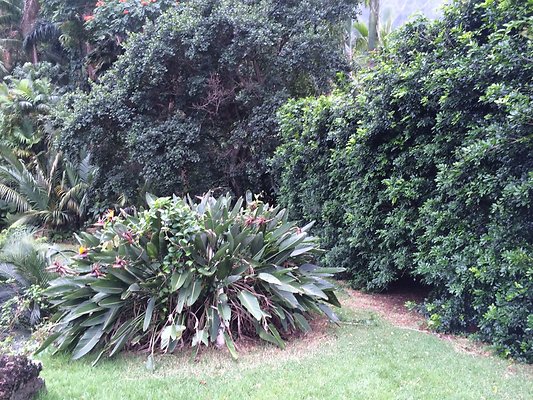 HI50 S5 Ken and Kelly Lee 3.37.54