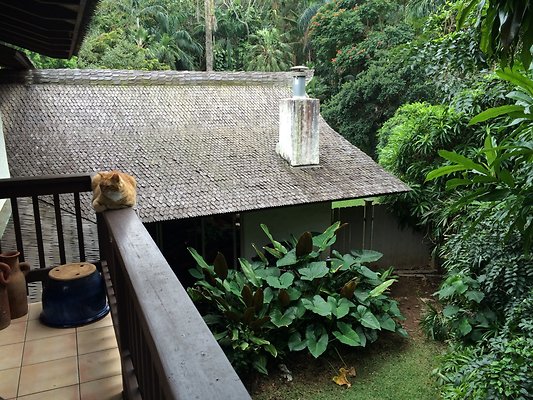 HI50 S5 Ken and Kelly Lee 3.48.27