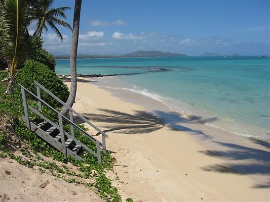 Eleanor Waimanalo (10)