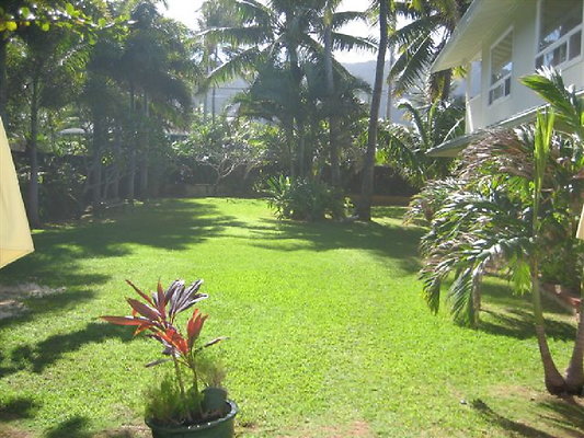 Waimanalo Blooms 075 (23)