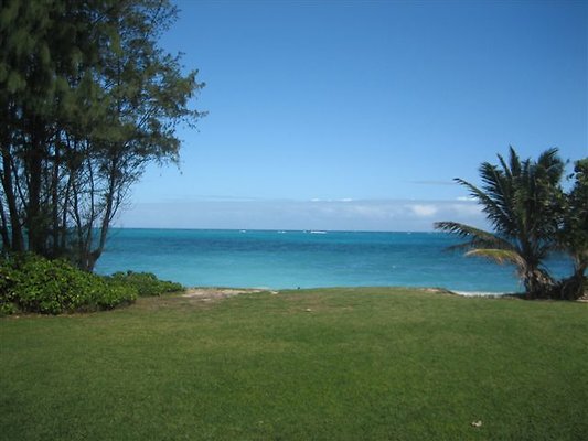 Waimanalo Blooms 075 (16)