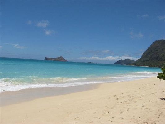 Blooms Waimanalo (2)