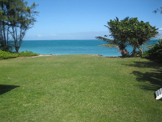 Waimanalo Blooms 075 (29)