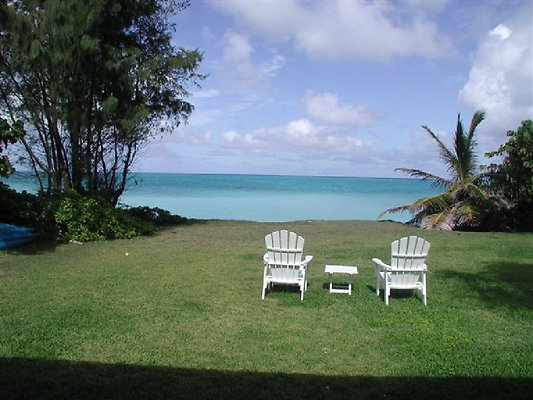 Waimanalo Blooms 2 - OLYMPUS DIGITAL CAMERA