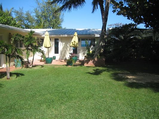 Waimanalo Blooms 075 (31)