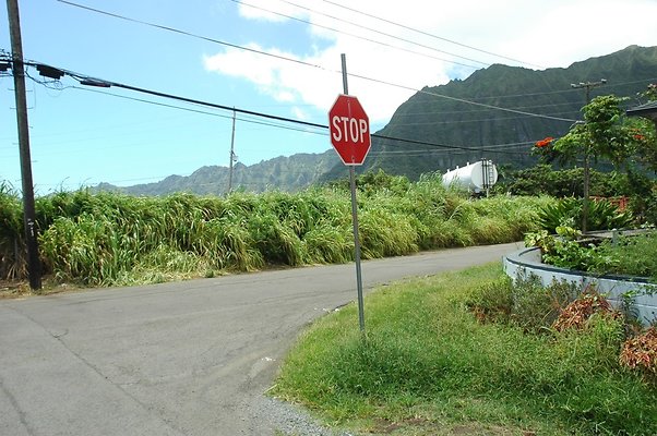 HI50 S5  Waimanalo KoamoaliandMekiaSt DSC 2871