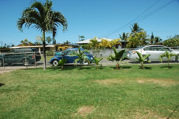 HI50 S5 Waimanalo 41-872OluOluSt MBilermo DSC 2910