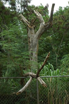 HI50 S5 MELPOOAUHI DSC 3281