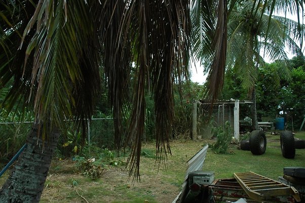 HI50 S5 MELPOOAUHI DSC 3273