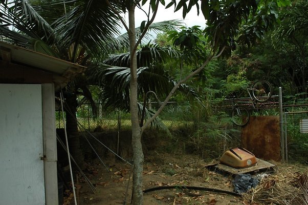 HI50 S5 MELPOOAUHI DSC 3271