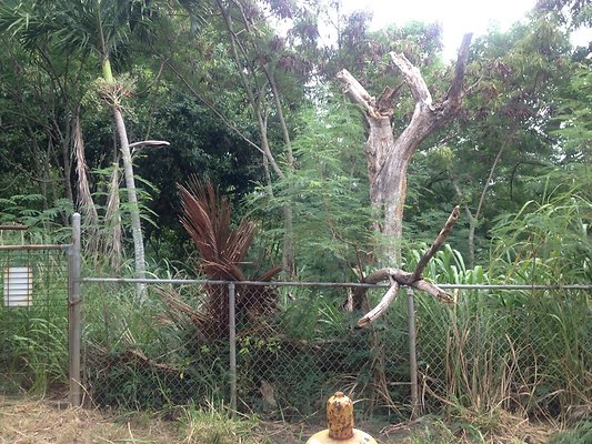 HI50 S5 MELPOOAUHI 2014-08-22 14.14.27