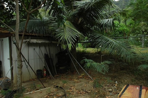 HI50 S5 MELPOOAUHI DSC 3279