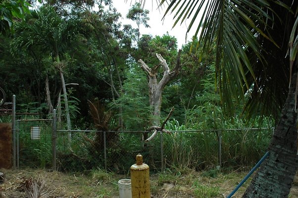 HI50 S5 MELPOOAUHI DSC 3272