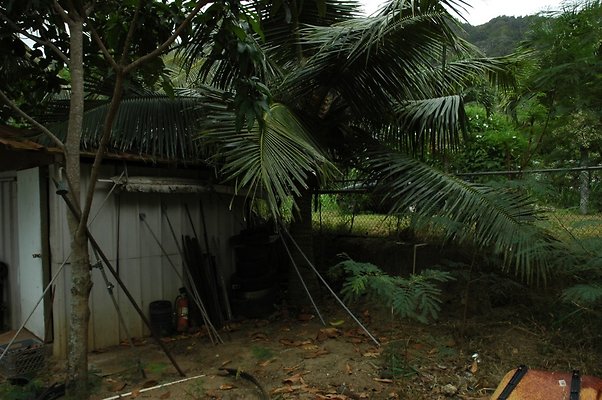 HI50 S5 MELPOOAUHI DSC 3276