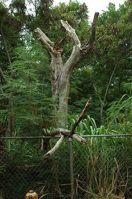 HI50 S5 MELPOOAUHI DSC 3284