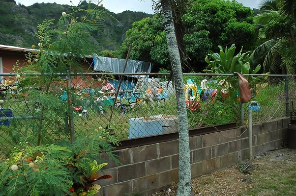 HI50 S5 MELPOOAUHI DSC 3230