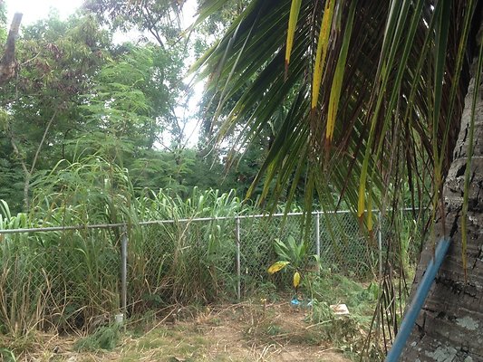 HI50 S5 MELPOOAUHI 2014-08-22 14.14.33