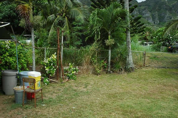 HI50 S5 MELPOOAUHI DSC 3266