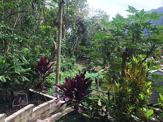 HI50 S5 Klaus Radtke 04.41