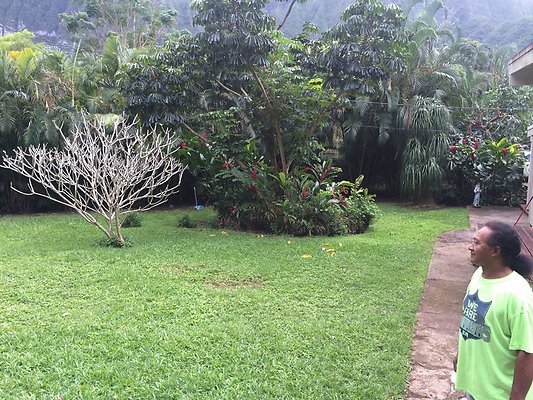 HI50 S5 Klaus Radtke 06.24