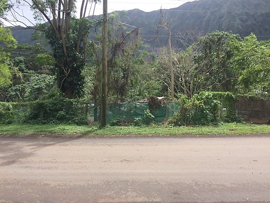 HI50 S5 Klaus Radtke 15.31