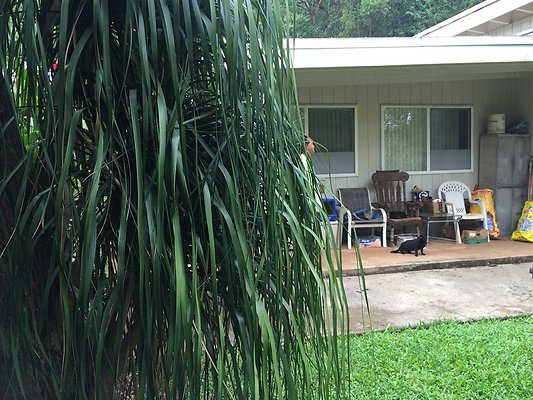 HI50 S5 Klaus Radtke 06.55