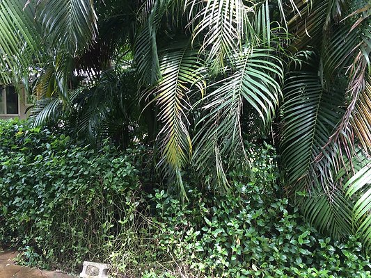 HI50 S5 Klaus Radtke 02.07