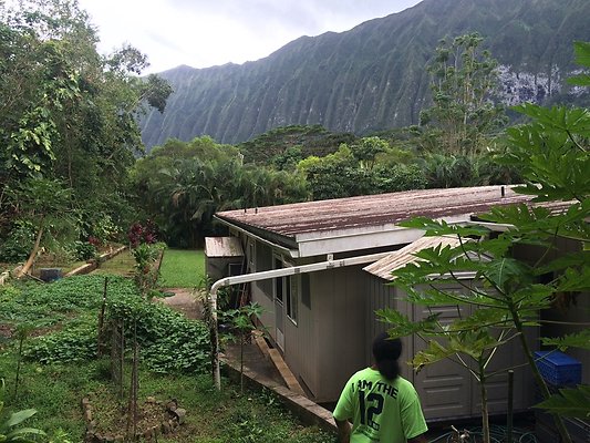 HI50 S5 Klaus Radtke 05.29