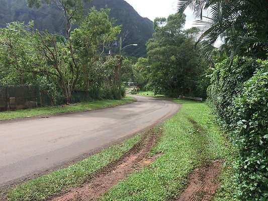 HI50 S5 Klaus Radtke 15.35