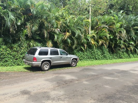 HI50 S5 Klaus Radtke 15.14