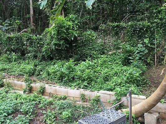 HI50 S5 Klaus Radtke 06.13