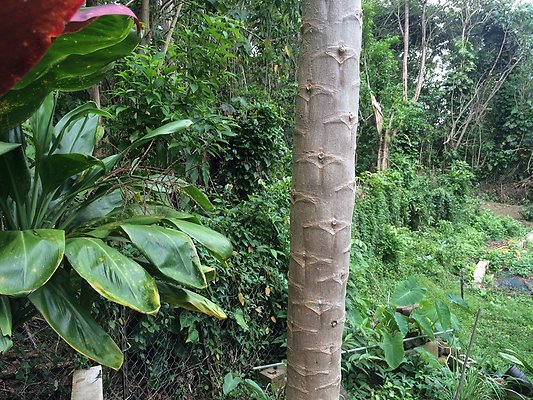 HI50 S5 Klaus Radtke 05.26