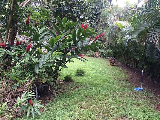 HI50 S5 Klaus Radtke 07.01