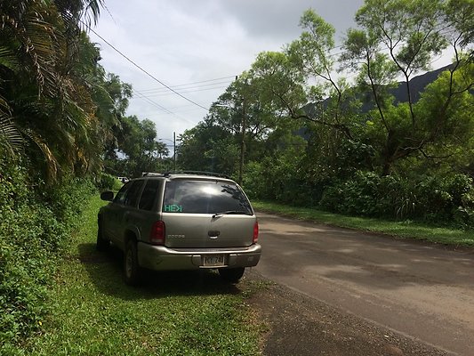 HI50 S5 Klaus Radtke 15.28