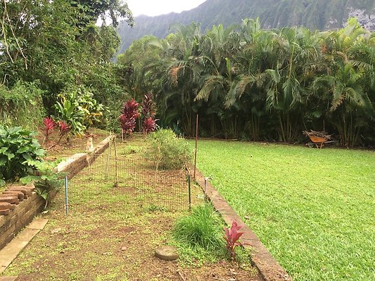 HI50 S5 Klaus Radtke 06.21