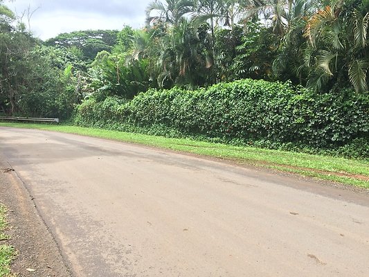 HI50 S5 Klaus Radtke 15.09