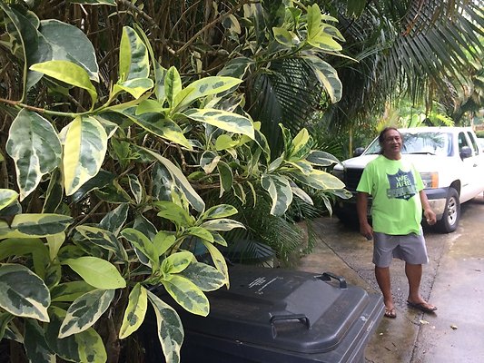 HI50 S5 Klaus Radtke 02.01