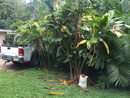 HI50 S5 Klaus Radtke 03.03