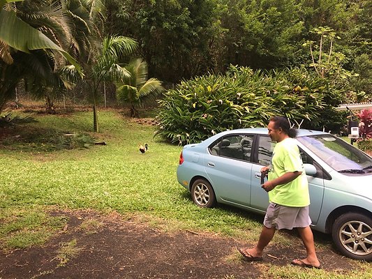 HI50 S5 Klaus Radtke 02.38