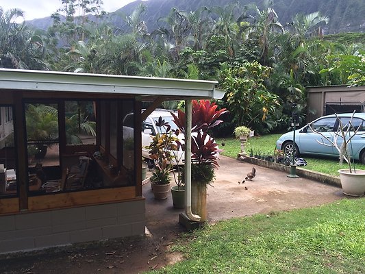 HI50 S5 Klaus Radtke 03.59