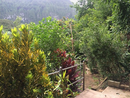 HI50 S5 Klaus Radtke 04.45