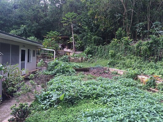 HI50 S5 Klaus Radtke 06.11