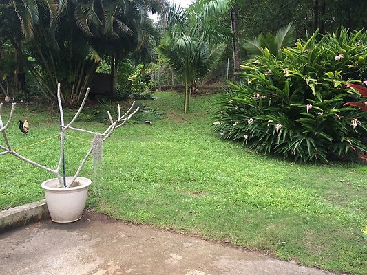 HI50 S5 Klaus Radtke 03.35