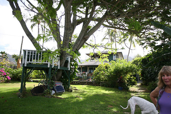 Waimanalo 41976Laumilo BarbaraAlethea-2