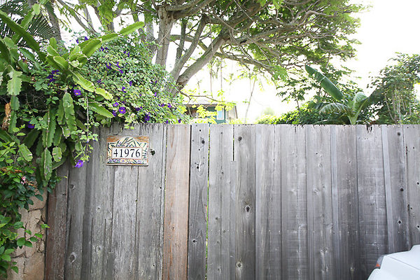 Waimanalo 41976Laumilo BarbaraAlethea-1