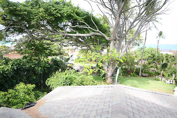 Waimanalo 41976Laumilo BarbaraAlethea-20