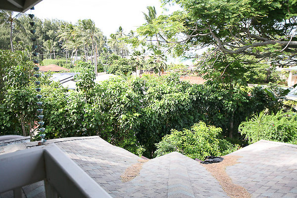 Waimanalo 41976Laumilo BarbaraAlethea-19